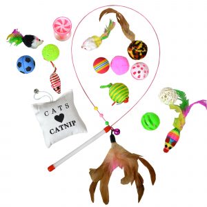 Best Value Variety Bundle Set with Wand Cat Toy, 16 Count