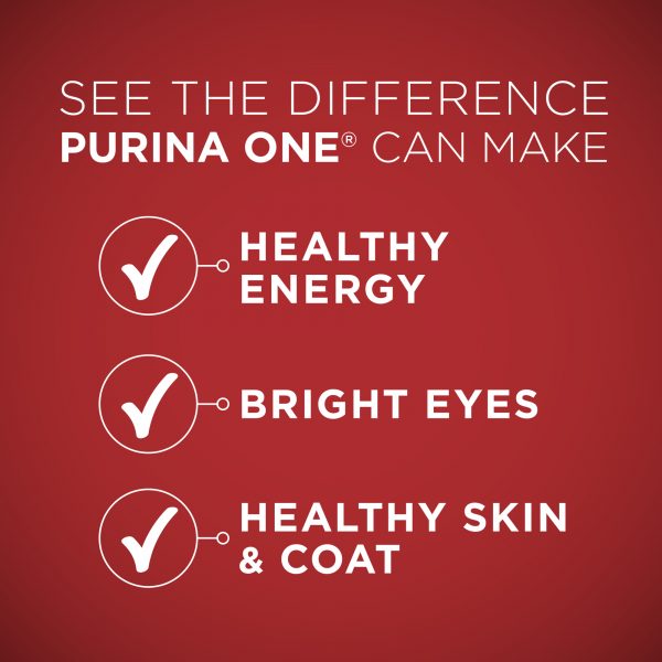 Purina ONE Natural Dry Dog Food, SmartBlend Lamb & Rice Formula, 16.5 lb. Bag