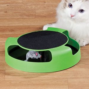 Dependable Cat Mouse Toy for Kittens- Cats - Catch the Mouse Motion -Cat Toy- Incredibly Fun to Play with & Amusing to Watch - Get It Now
